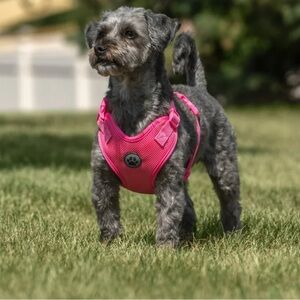 NWOT Vibrant Life Large Pink Dog Harness